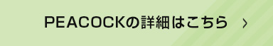 詳細はこちら